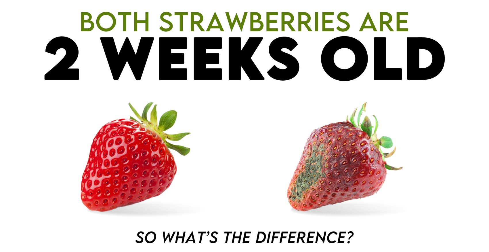 Strawberry Rapid Spoilage and Ways to Prolong Freshness